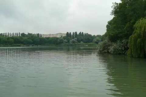 Погода в солнечнодольске на сегодня