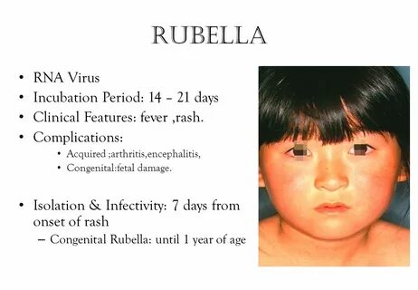 Rubella virus что это