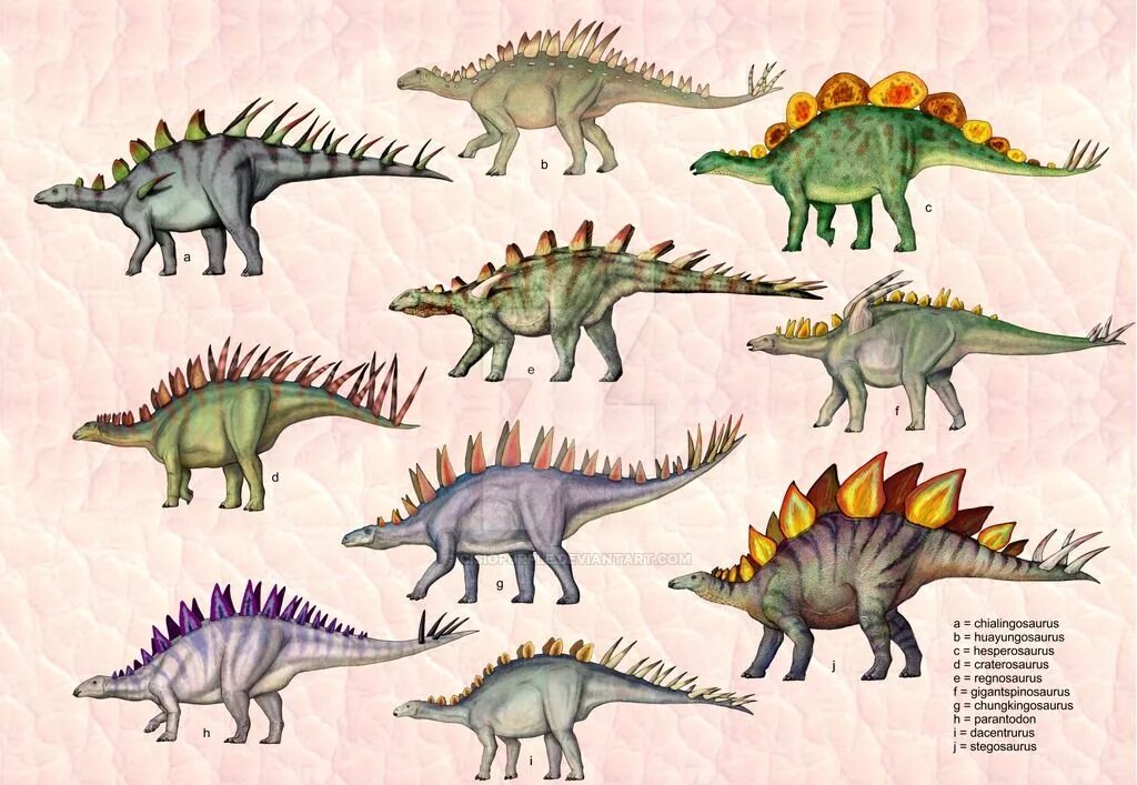 Стегозавр и Анкилозавр. Травоядные динозавры Стегозавр. Паразауролоф Стегозавр Анкилозавр. Кентрозавр и Стегозавр. Травоядные динозавры с шипами