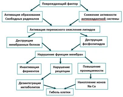 Повреждения белков