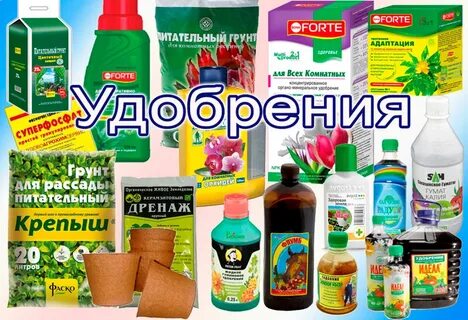 Какое удобрение для травы
