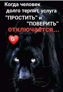 Извинить услуга