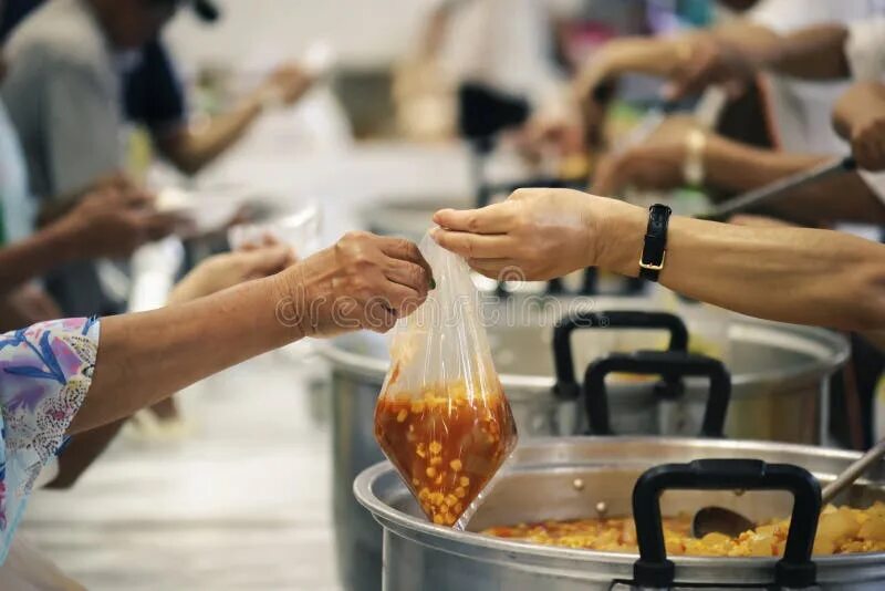 Дает с руки еду. Рука с едой. Рукой в еду. Рука дает еду. Передача в руки еду.