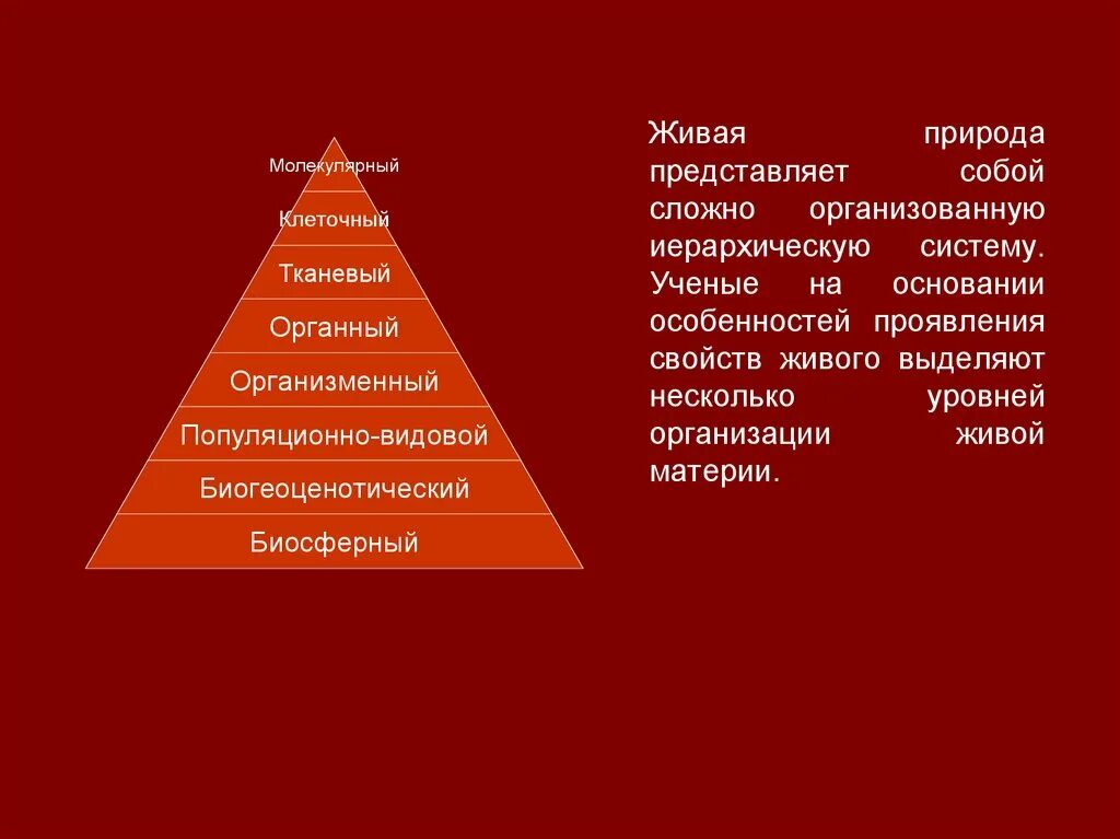 Иерархия уровней живой материи схема. Иерархическая структура организации живой материи. Иерархические уровни организации живого. Иерархические уровни организации живой материи