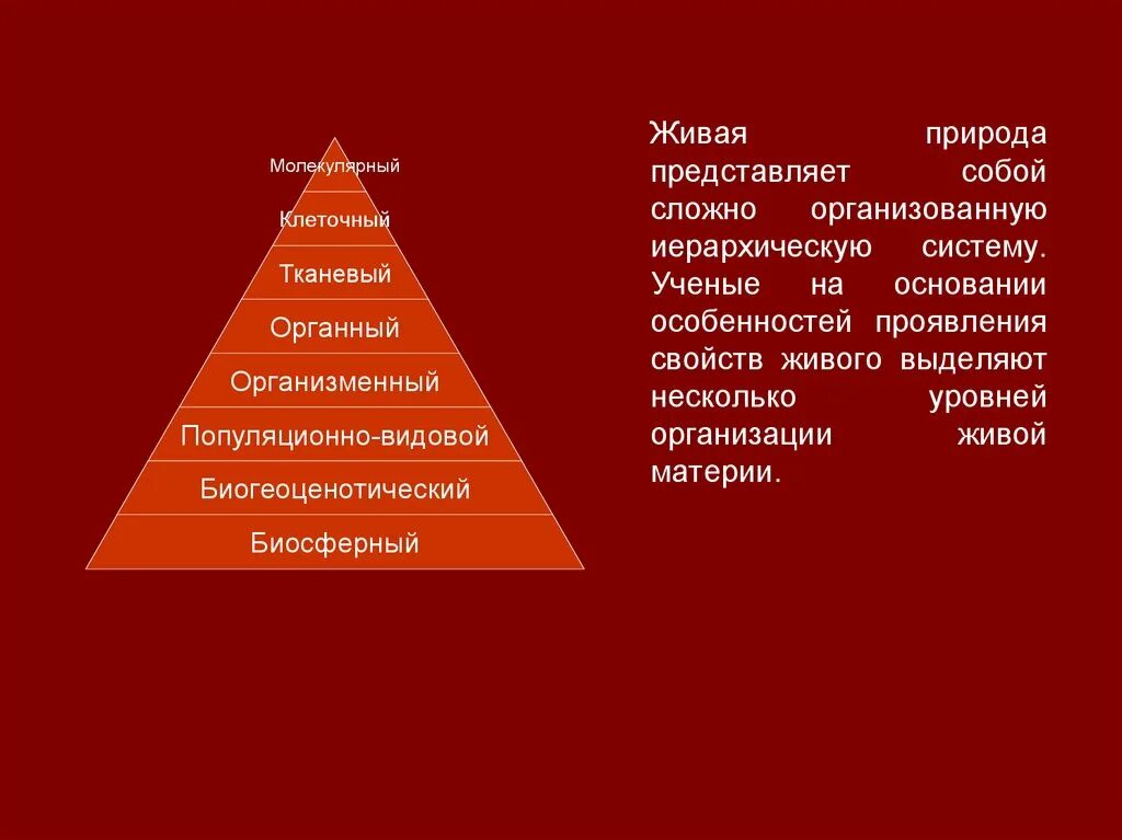 Иерархия природы. Иерархия уровней живой материи. Иерархическая организация живого. Иерархия уровней организации живого. Иерархическая организация живой материи.