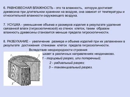 Влага в древесине