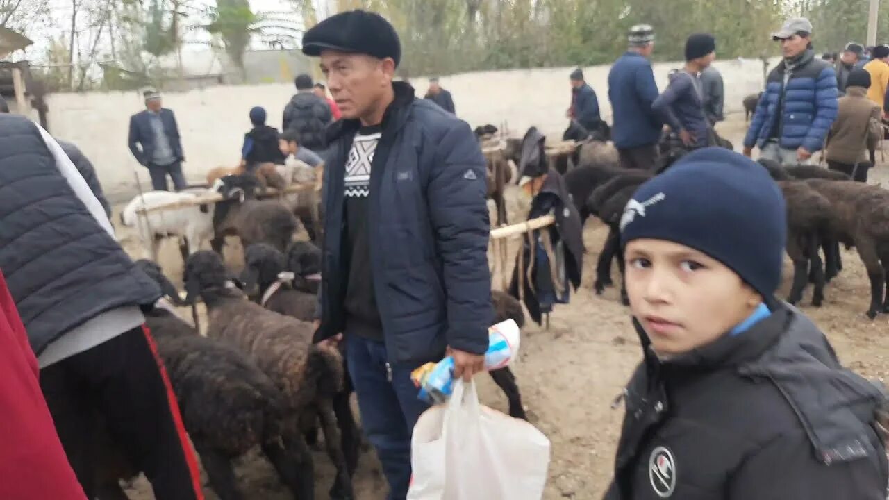 Baliqchi ob havo. Погода андижан баликчи тумани. Погода андижан баликчи тумани. Андижан пагода баликчи. Andijon baliqchi.