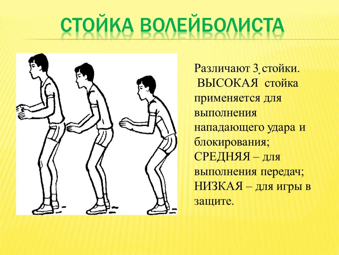 Отличает высокая. Средняя стойка волейболиста техника. Стойка игрока в волейболе. Типы стартовых стоек волейболиста. Описание средней стойки волейболиста:.