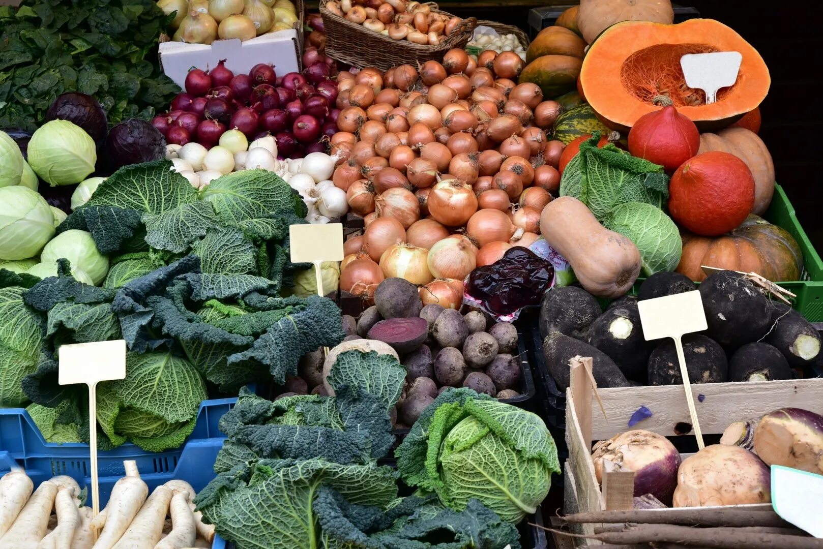 Овощи. Овощи и фрукты. Овощной рынок. Зимние овощи. Овощи и фрукты являются источником