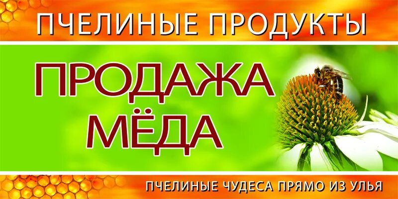 Баннер для продажи меда. Реклама пасеки. Реклама меда в картинках. Баннер для пчеловода.