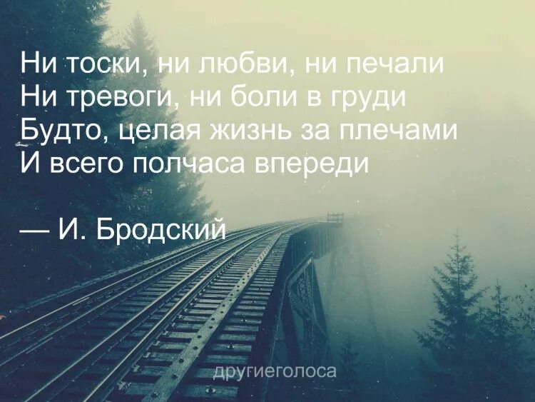 Стихотворение ни тоски ни любви ни печали. Впереди целая жизнь. ни тоски ни любви ни. бродский стих ни тоски ни любви ни печали. печаль цитаты.