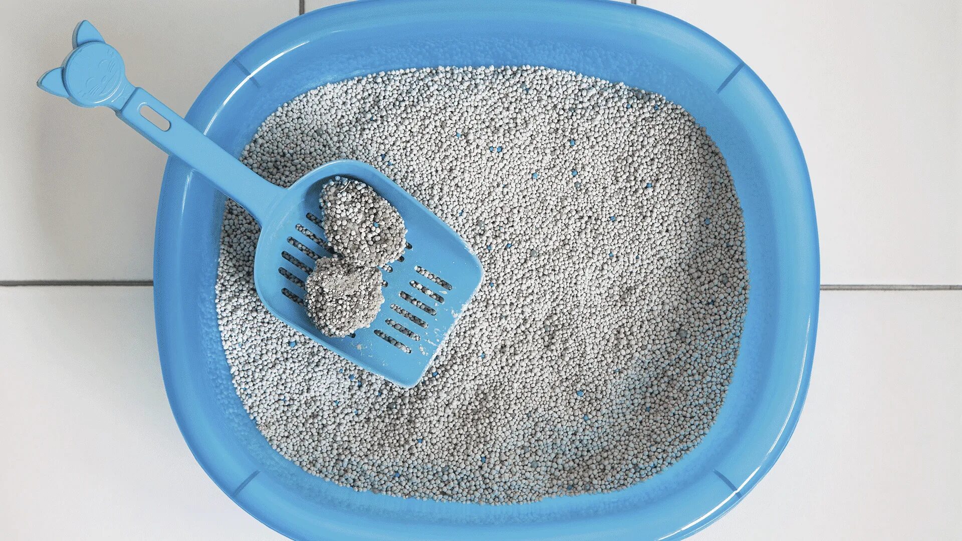 Какое наполнитель для кошки. Кошачий наполнитель cat litter. кэт литтер наполнитель для кошачьего туалета. наполнитель для кошачьего туалета cat litter. наполнитель для кошачьего ькплета kst littell.