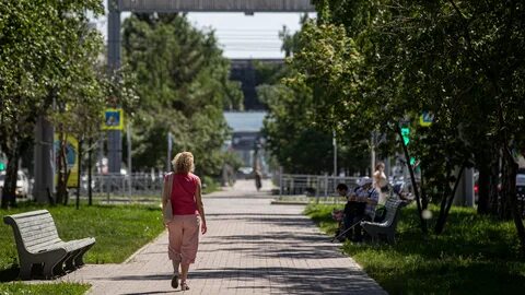 Windy погода новосибирск