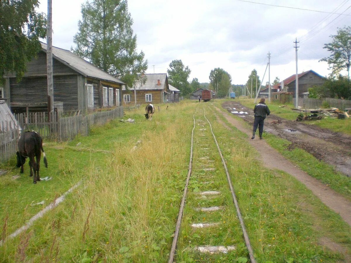 Кадниковский вожегодский. Поселок Кадниковский Вологодская область. Посёлок Кадниковский Вожегодского района. Бекетово 42 Вожегодский район. Деревня Вожега Вологодская область.