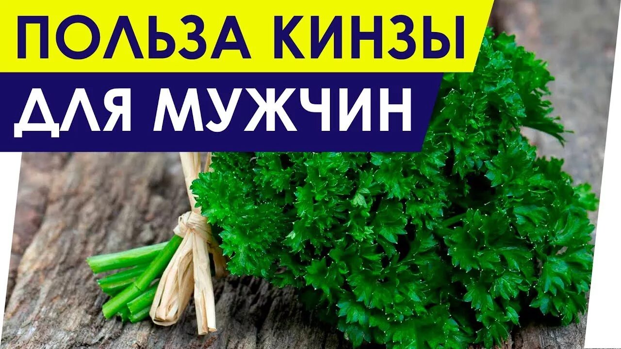 Кинза. Кинза польза. Кинза полезна для мужчин. Кинза для потенции.