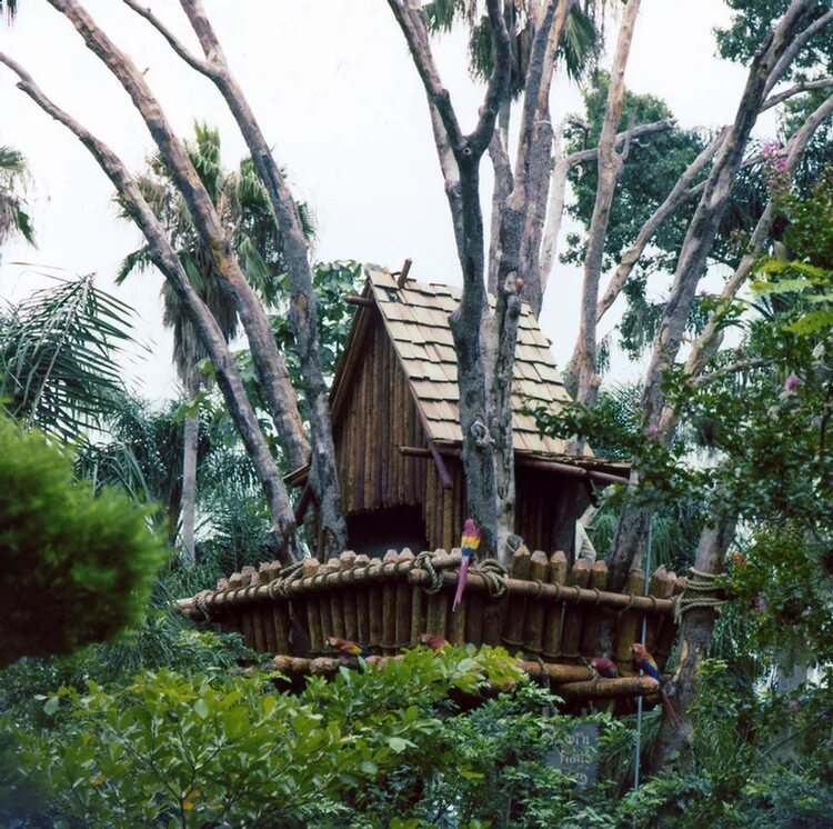 заброшенный парк дисней остров сокровищ. остров диснея. остров диснея. парк disney’s discovery island в городе лейк буэна виста, флорида, сша. остров дискавери дисней.