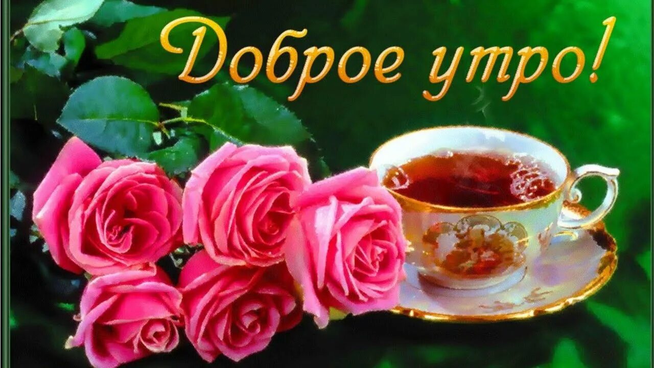 Доброго утра хорошего выходного дня картинки. Открытки с добрым утром красивые. доброе утро хорошего настроения. открытки прекрасного утра и отличного настроения. открытки с добрым утром и хорошим настроением.