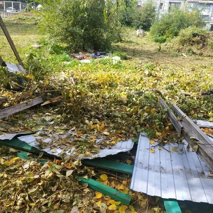 Разбитый сад. Дерево упало на забор.