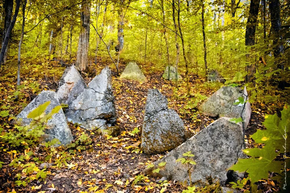 Зубы дракона киев