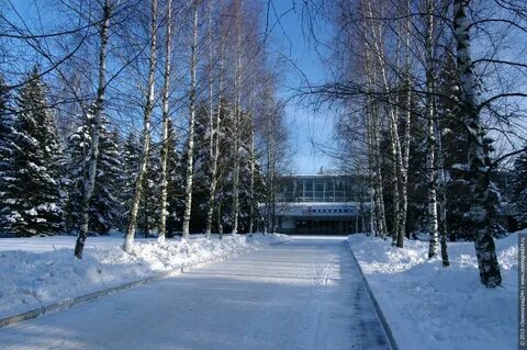 Зеленоград конец