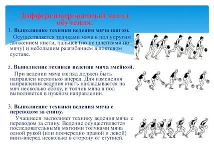 Обучение ведению