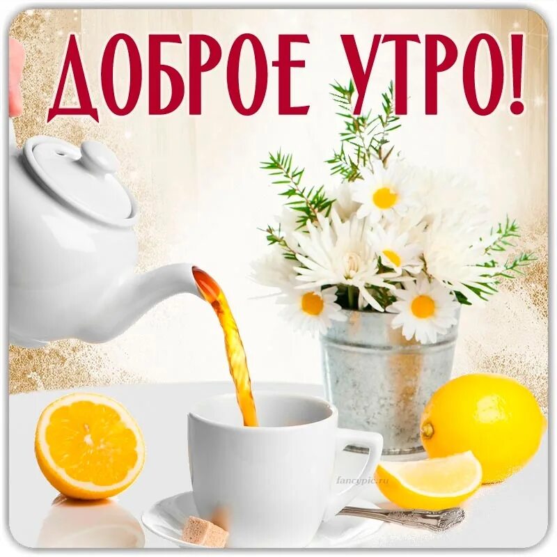 ДОБРОЕ УТРО лето красивые открытки картинки утренние сообщения цитаты #доброеутр