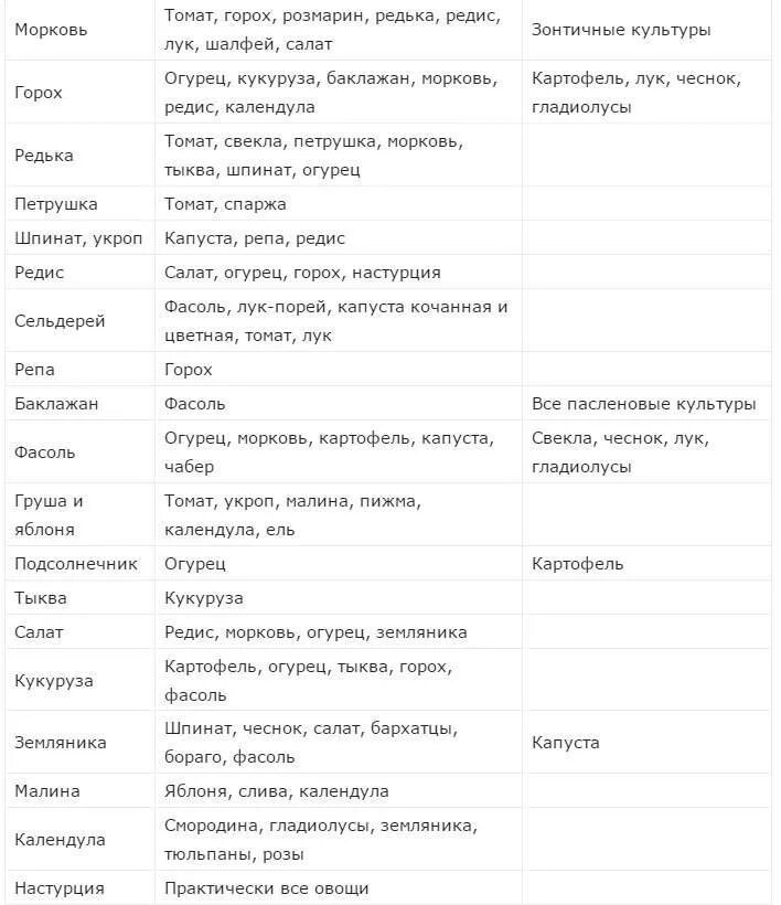 Лучшие предшественники для посадки овощей таблица. Культуры что садить после чего. Что можно посадить после чего. Совместимость овощей на грядке при посадке в открытый грунт таблица.