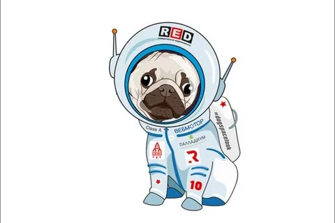 Белка космонавт