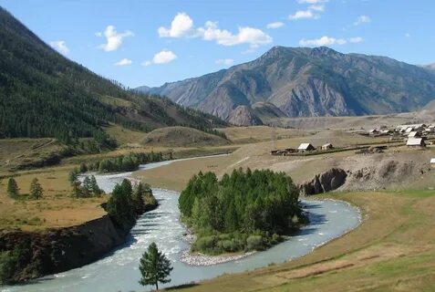 Включи республика алтай