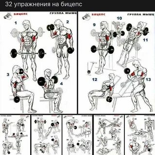 Тренировка для зала бицепс