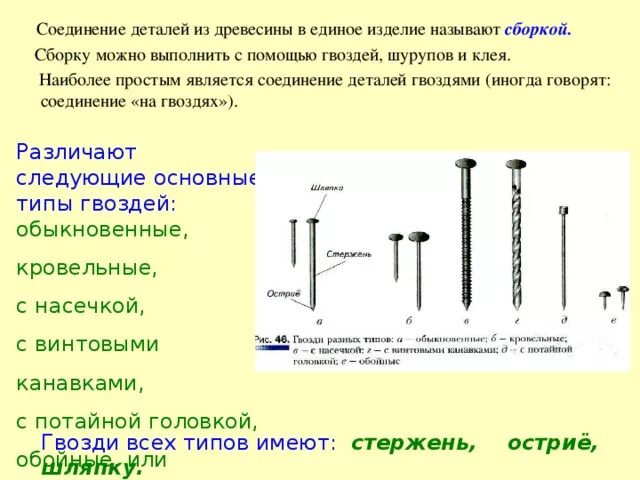 Доклад на тему соединения. Соединение деталей гвоздями и шурупами. Соединение деталей из древесины с помощью шурупов гвоздей саморезов. Соединение деталей гвоздями и шурупами 5 класс технология. Соединение деталей из древесины с помощью гвоздей 5 класс.