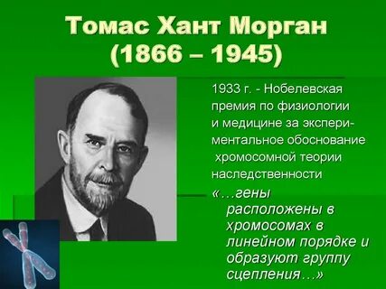 Т морган кратко