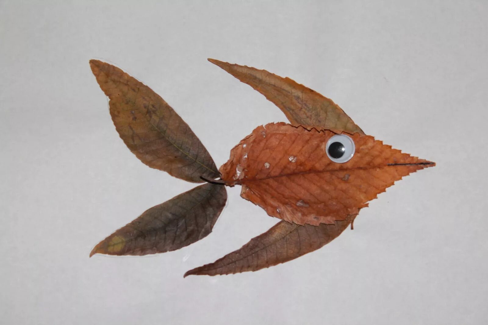 Птичку с листьев. Птичку с листьев. Поделка птица из природного материала. Жар птица из природного материала. Аппликация из листьев.