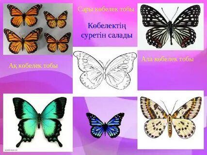 Неміс порно зорлық-зомбылығы