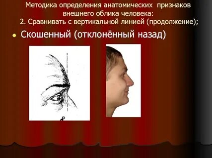 Признаки внешнего облика человека