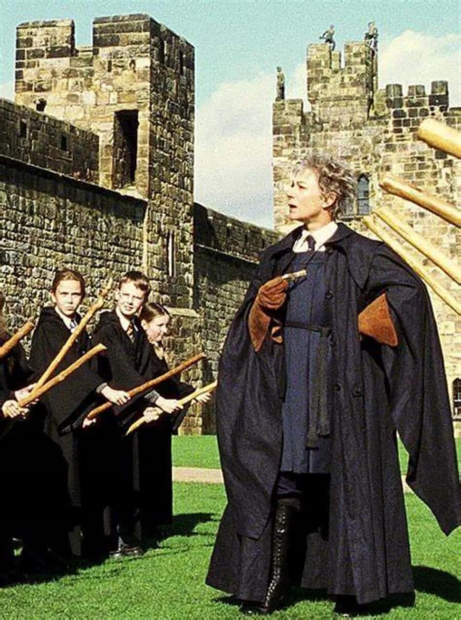 Роланда трюк (мадам хуч). Мадам хуч гарри поттер. Роланда хуч из гарри поттера. Роланд хогвартс. Гарри поттер мадам трюк.