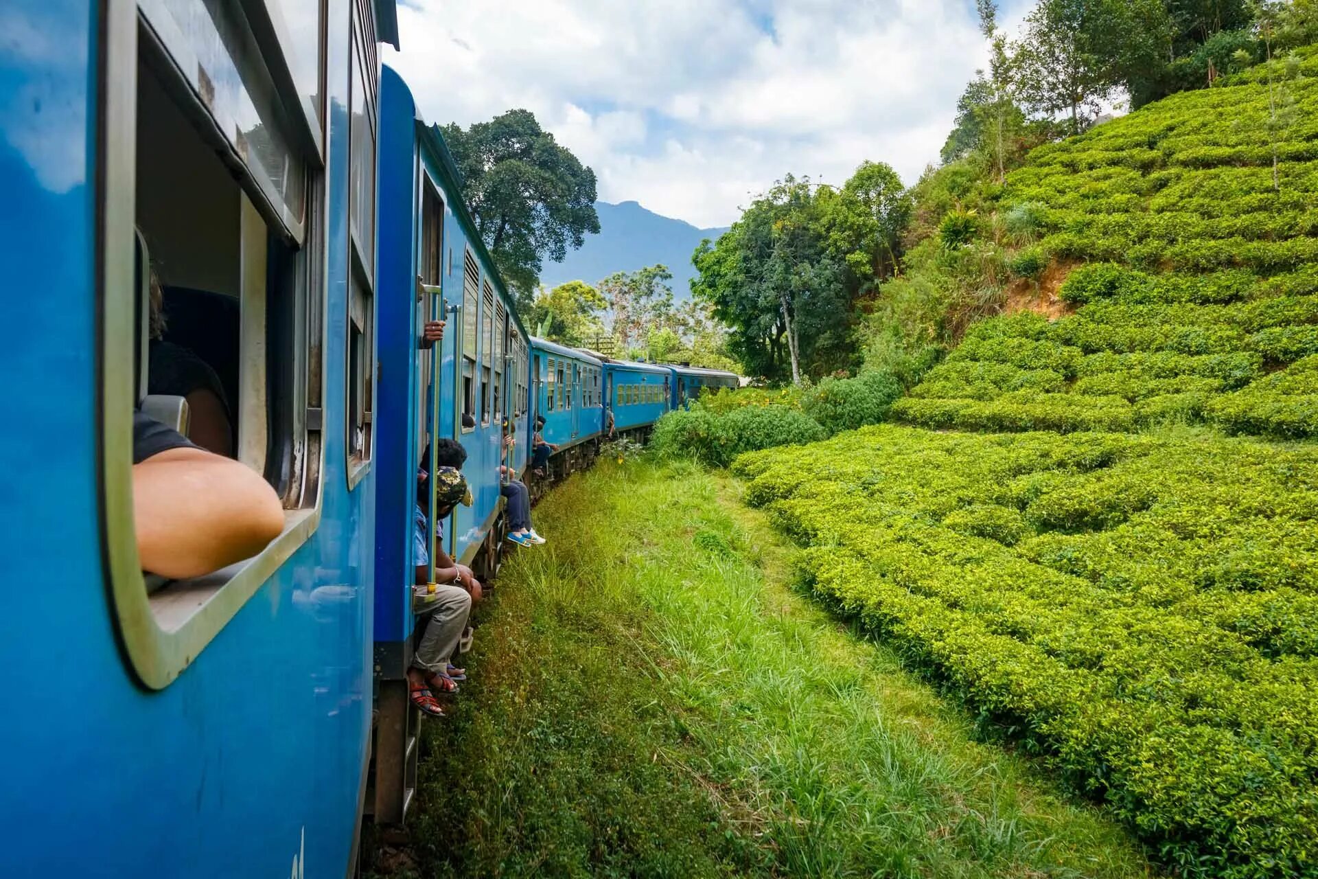 Банки шри ланки. Шри Ланка чайные плантации поезд. Канди Шри Ланка. Шри Ланка Канди ущелье. Шри Ланка поезд.