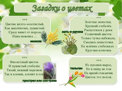 Ответ цветочного