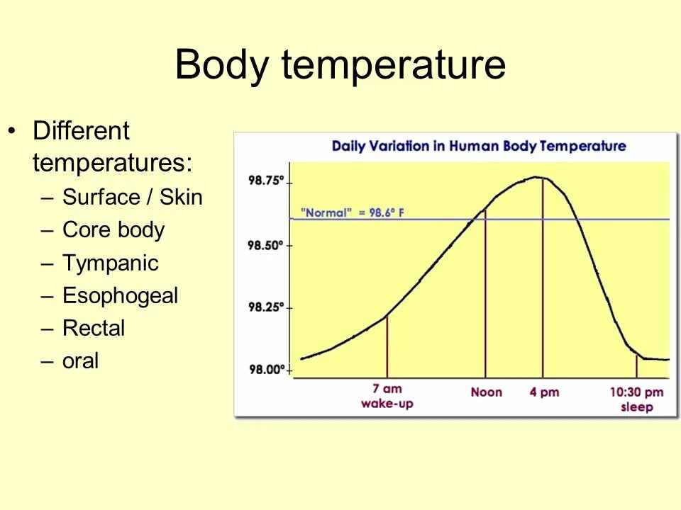 Temperature signal. Normal temperature. temperature of human. normal body temperature. the temperature of the human body.
