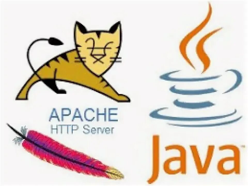 Java hosting. Apache Tomcat лого. Оракул логотип. Бизнес кошечка. Oracle NETSUITE logo.