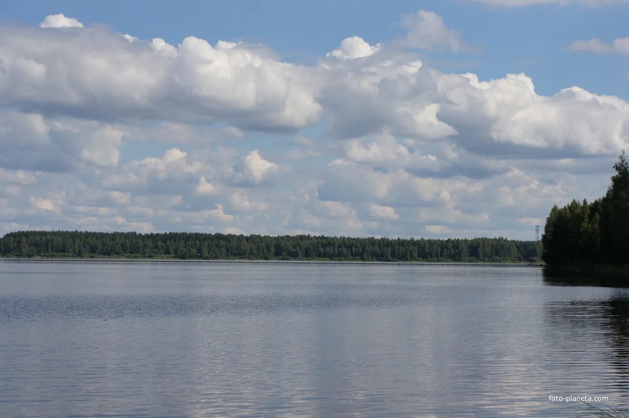 Озеро белое рязанская область спас клепики. Белое озеро рязанская. Белое озеро рязанская. Озеро белое белозерье рязанская область. Белое озеро рязанская.