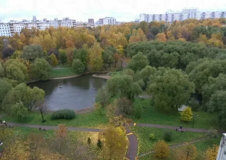 Стан коньково