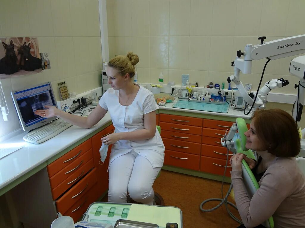 стоматология фотографии. ай тари тари тари ой моя ты красота. тари запись. тари ухта стоматология. тар одо.