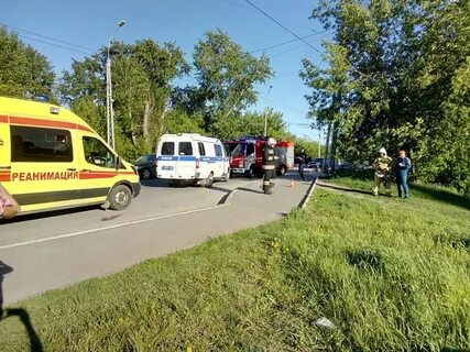 5 понесут