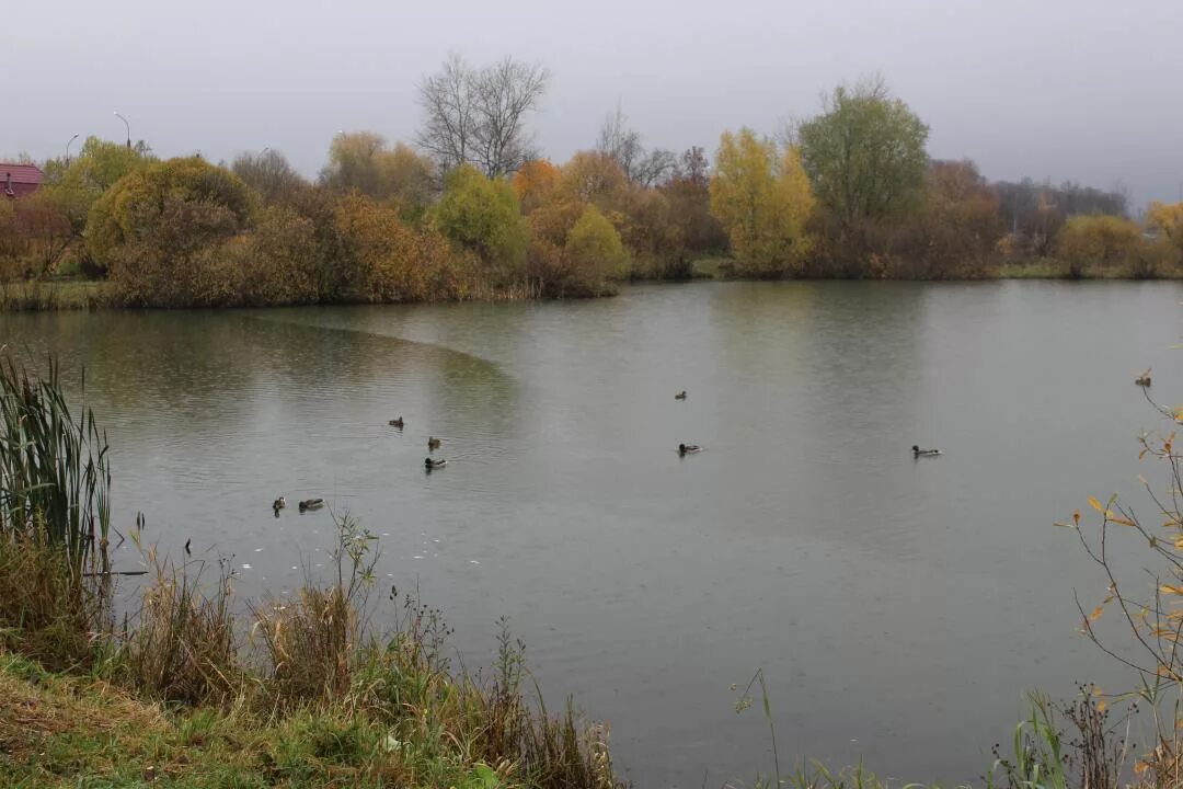 чистые пруды великий новгород. мраморное озеро новосибирск абрашино. раглицы новгородская область карьер. песчаный карьер великий новгород. вересова великий новгород.