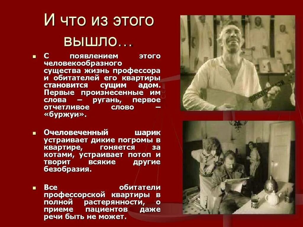 Характеристика героев собачье сердце. Характеристика шарика собачье сердце. Шариков характеристика с аргументами. Шариков характеристика с аргументами. Шариков характеристика с аргументами.