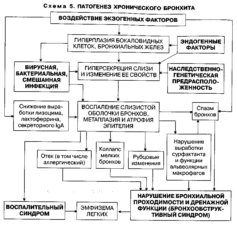 Схема бронхита. Хронический бронхит патогенез схема. Острый бронхит патогенез схема. Патогенез бронхита схема. Патогенез острого бронхита дети схема.