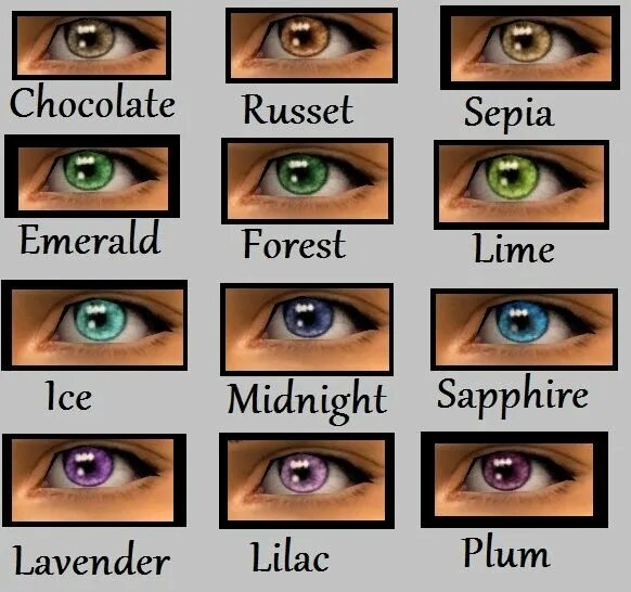 Как узнать какой цвет глаз. Цвет глаз. Цвета глаз и их названия. Разновидности цвета глаз. Цвет глаз и название оттенков.