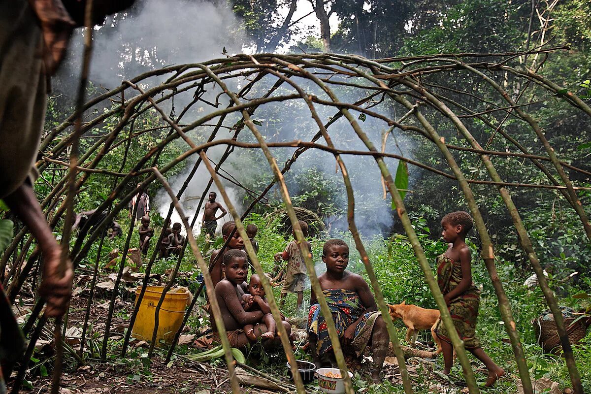 Народ мбути лес Итури Конго. Пигмеи Конго. Будущее племени