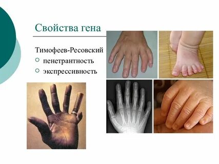 Пенетрантность это свойство гена